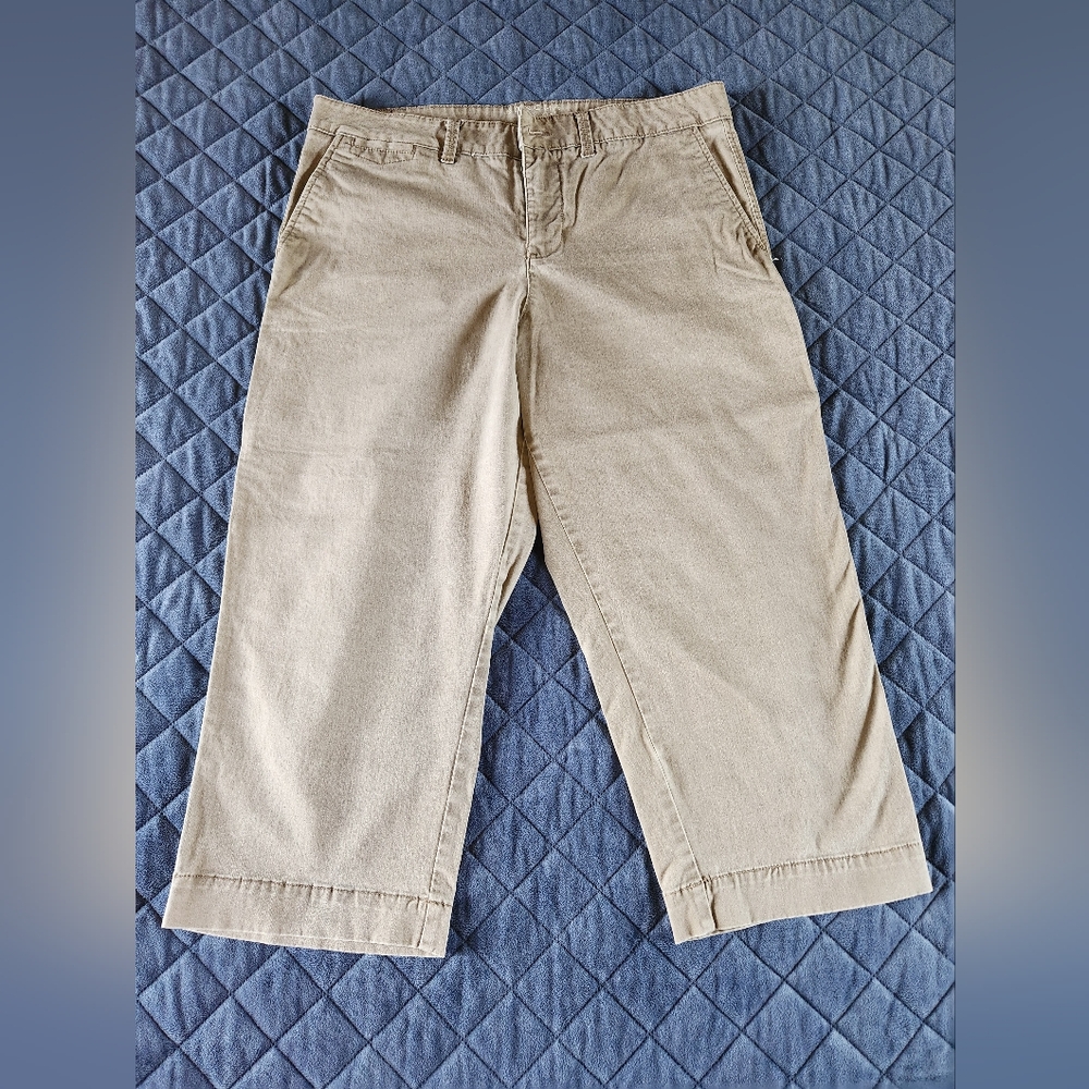 Womens Sonoma Everyday Capri Taupe Sz 12